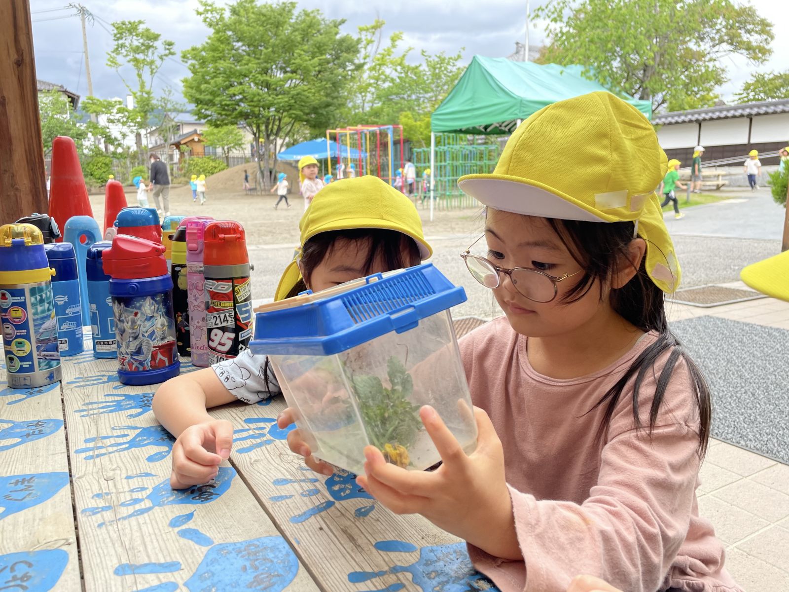 幼稚園のブログのブログ | 若草幼稚園 | 国際バカロレア認定校 | 長野